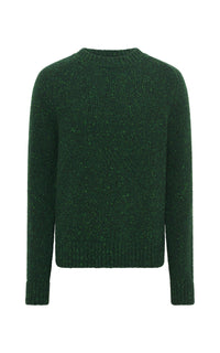 Daniel Knit Sweater in English Green Speckled Aran Cashmere