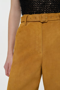 Norman Wide-leg Pant in Cashew Suede
