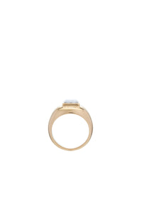 Medium Ring in 18K Yellow Gold & Howlite Stone
