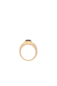 Medium Ring in 18K Yellow Gold & Onyx