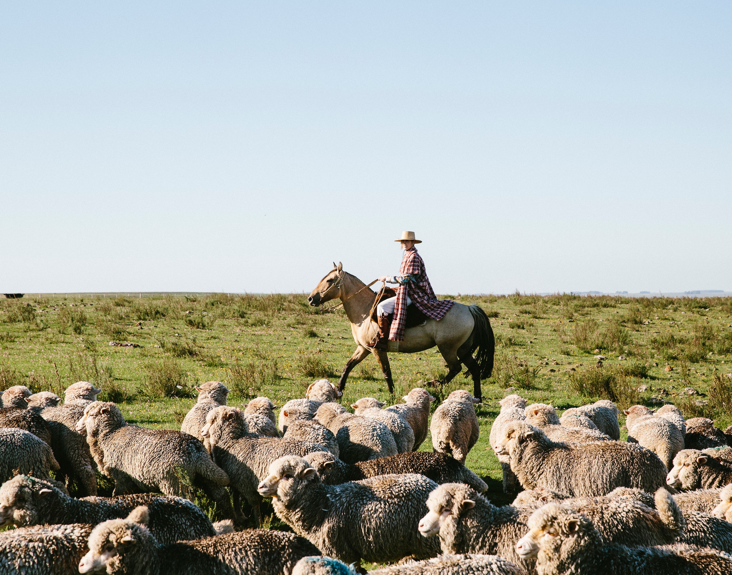 Fashion Designer Gabriela Hearst's First Job Was Cattle Ranching?