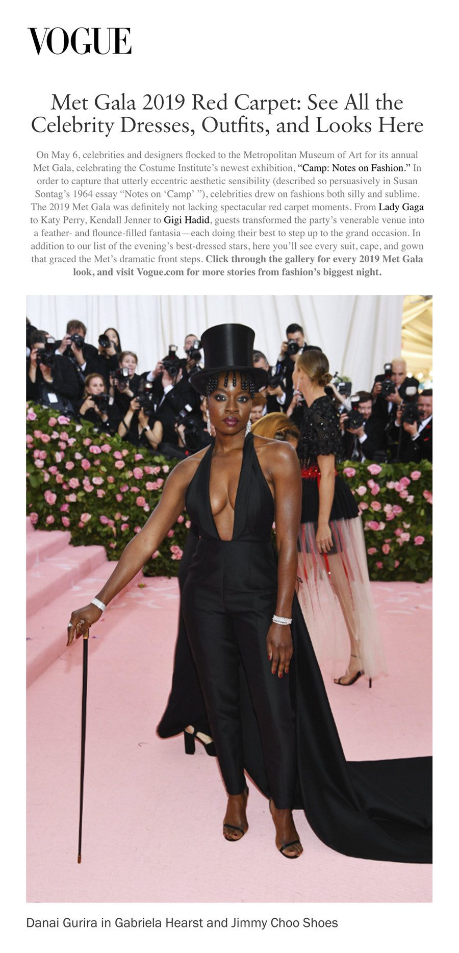 Met Gala 2019 Red Carpet