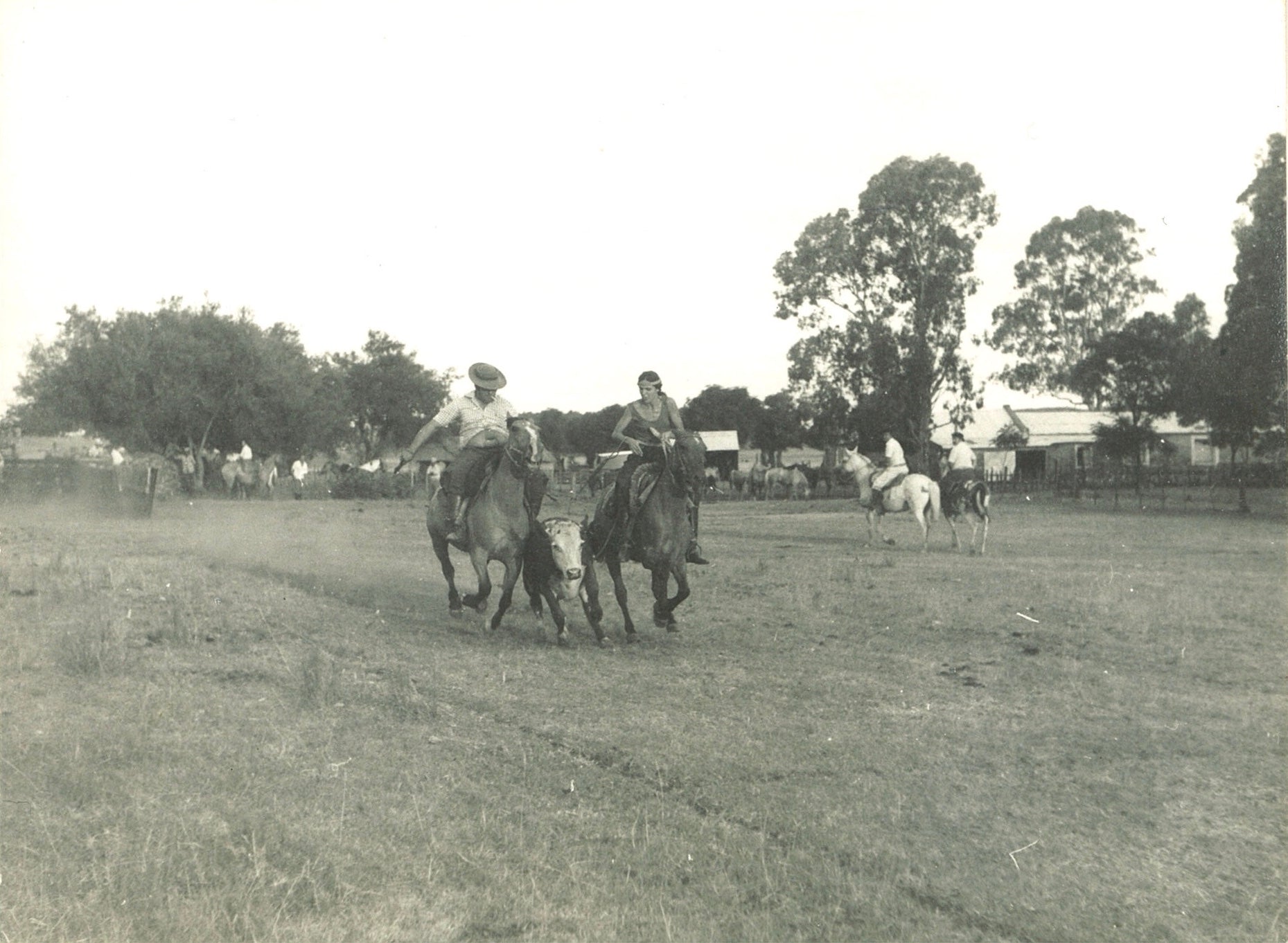 Growing Up On A Ranch