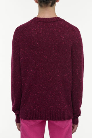 Bordeaux Speckled Cashmere Daniel Crewneck Sweater - Back View on Model | Gabriela Hearst