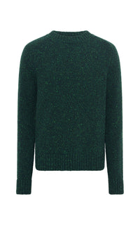 Daniel Knit Sweater in English Green Speckled Aran Cashmere