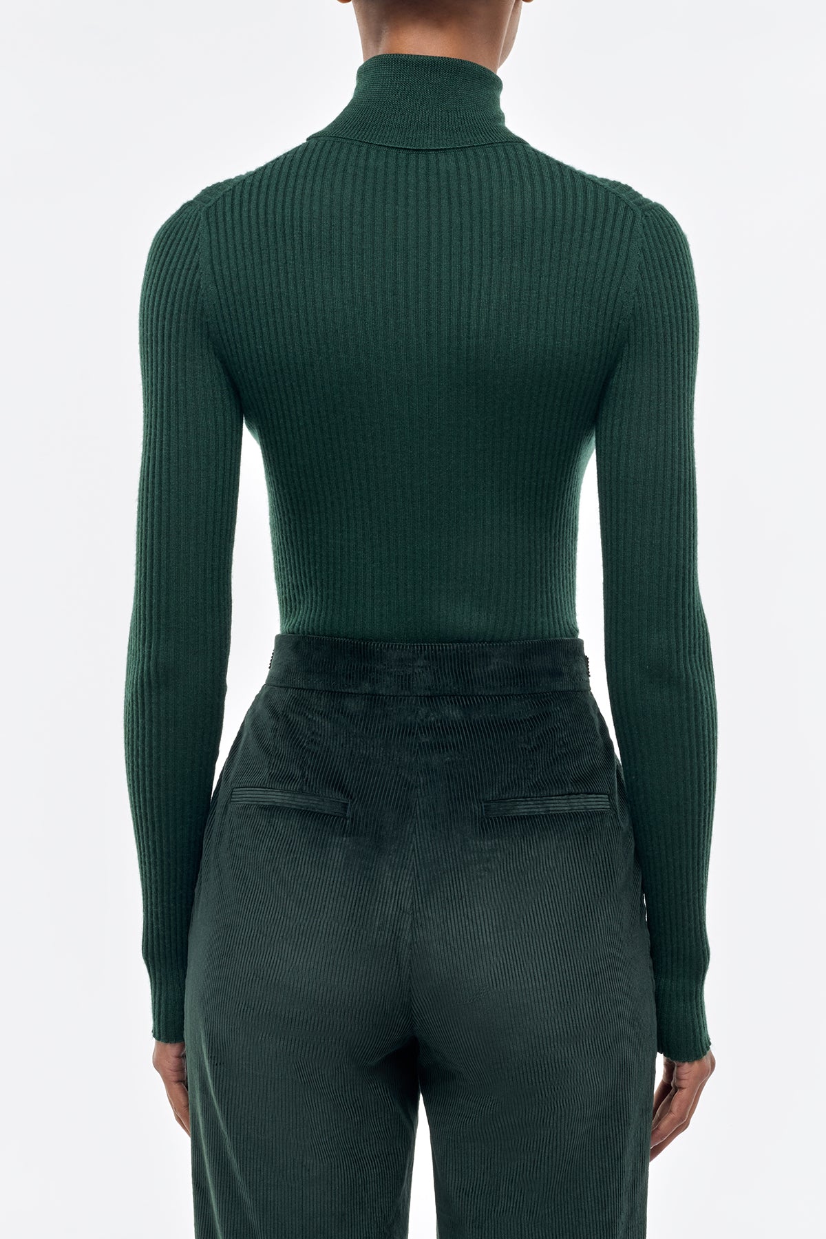 Peppe Knit Turtleneck in English Green Cashmere Silk