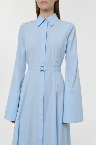 Light Blue Cotton Button Front Dress - On Model Detail View | Gabriela Hearst
