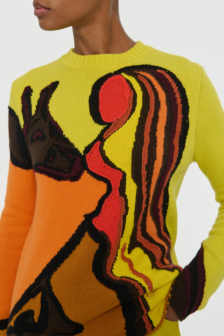 Daneth Knit Sweater in Earth Multi Cashmere