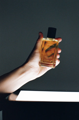 Paysandú Fueguia Perfume Held in Hand Against Dark Background, Lifestyle Shot | Gabriela Hearst