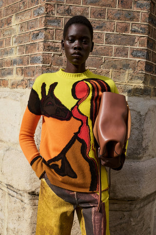 Daneth Knit Sweater in Earth Multi Cashmere