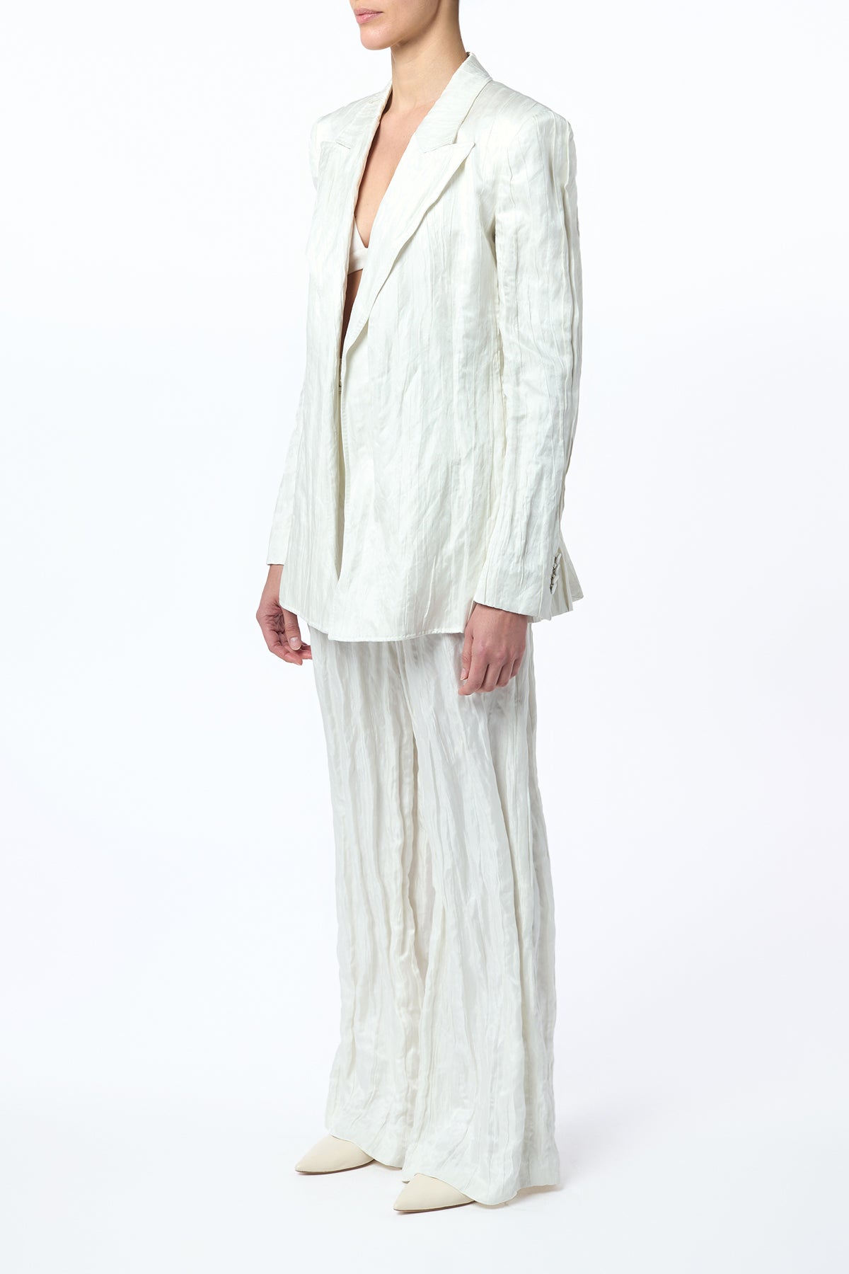 Norman Wide-Leg Pant in Ivory Metallic Crinkled Silk