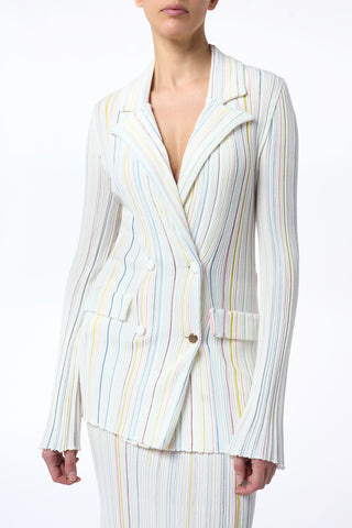 Ceres Pinstripe Knit Jacket in Ivory Multi Merino Wool