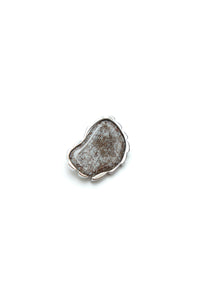 Petoskey Stone Brooch