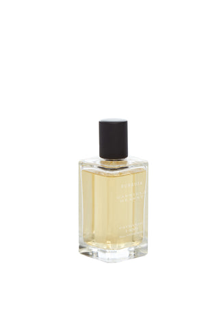 Paysandú Fueguia Unisex Perfume - Clear Glass Bottle with Black Cap, Three-Quarter View | Gabriela Hearst