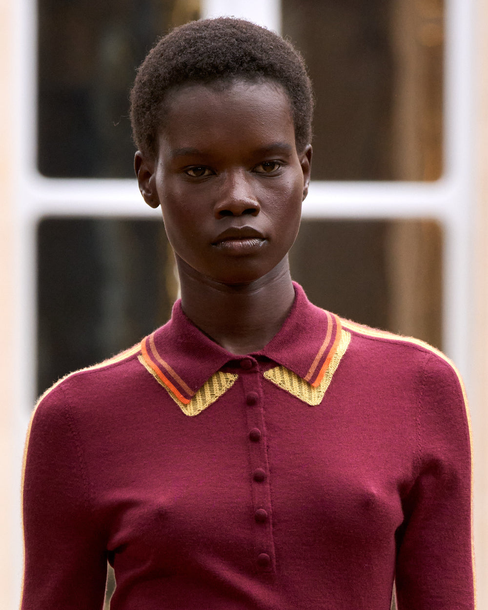 ウェンデリン ニット 半袖ポロ（メルローマルチカシミアシルク）