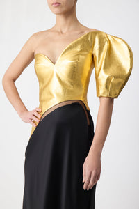 Giulia Dress in Gold Metallic Nappa Leather & Silk Velvet