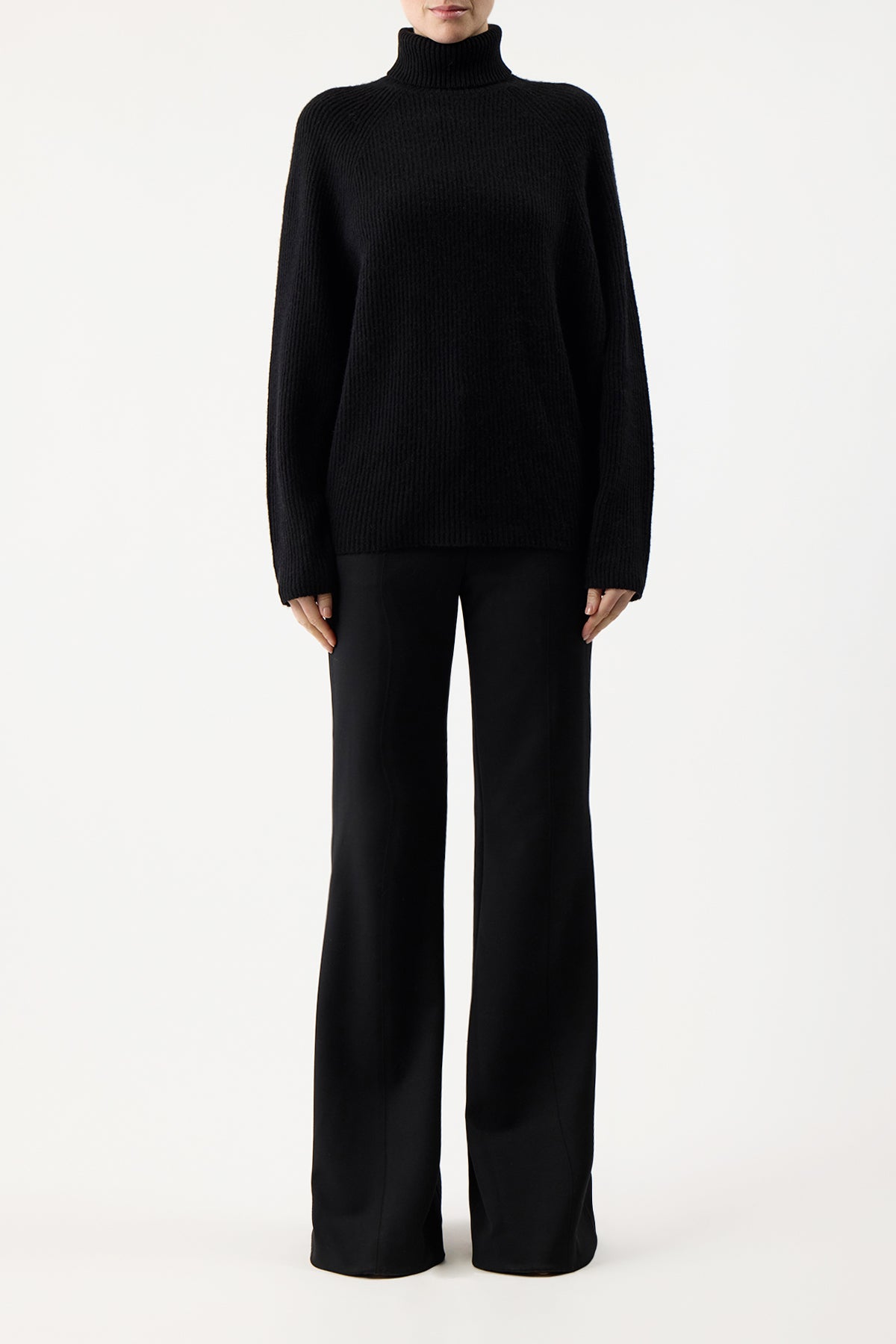 Wigman Knit Turtleneck Sweater in Black Cashmere – Gabriela Hearst