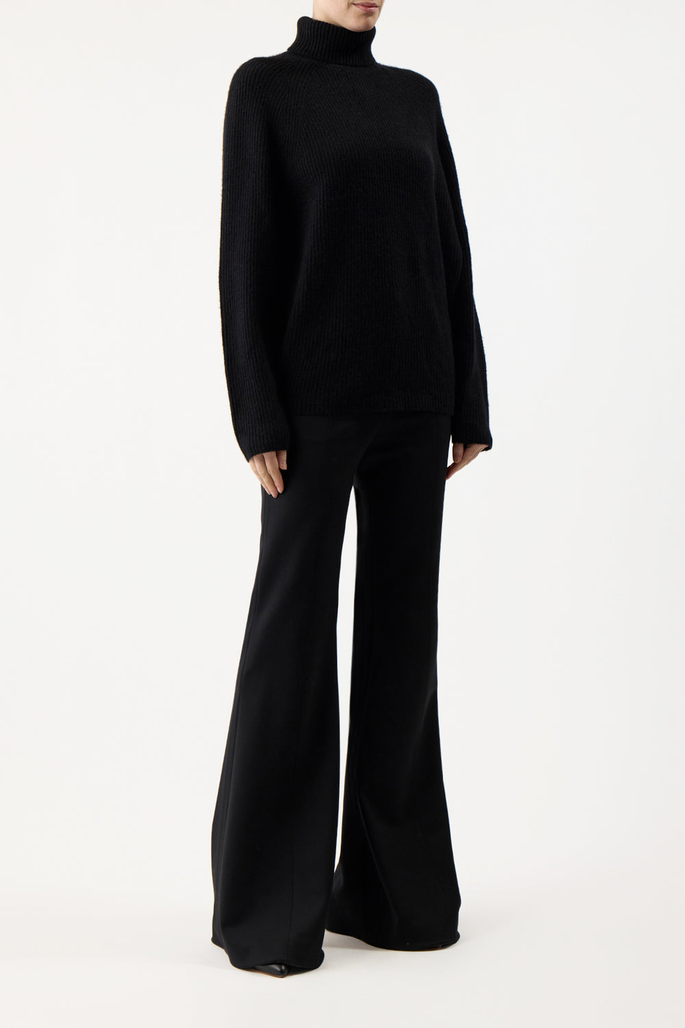 Wigman Knit Turtleneck Sweater in Black Cashmere – Gabriela Hearst