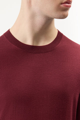 Bordeaux Merino Wool Palco Crewneck Sweater - Neckline Detail On Model | Gabriela Hearst