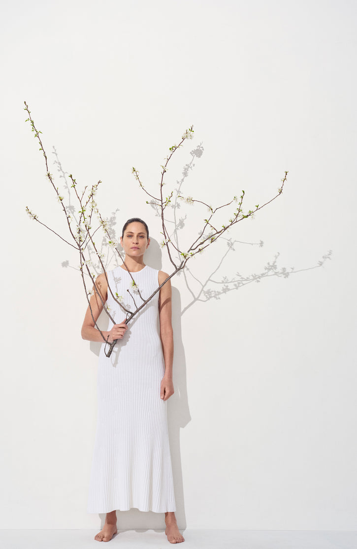 Meier Knit Midi Dress in Ivory Merino Wool Cashmere
