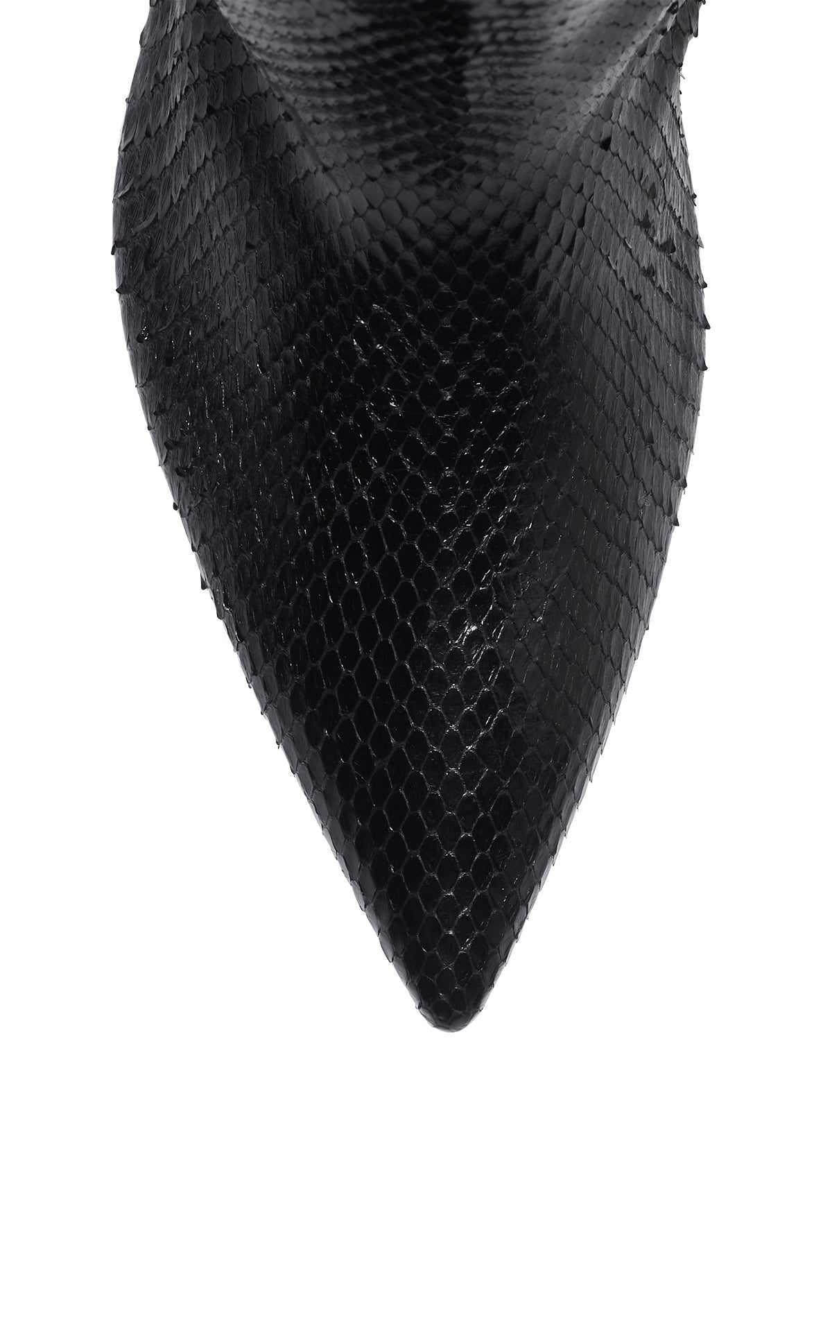 Aura Tall Boot in Black Snakeskin