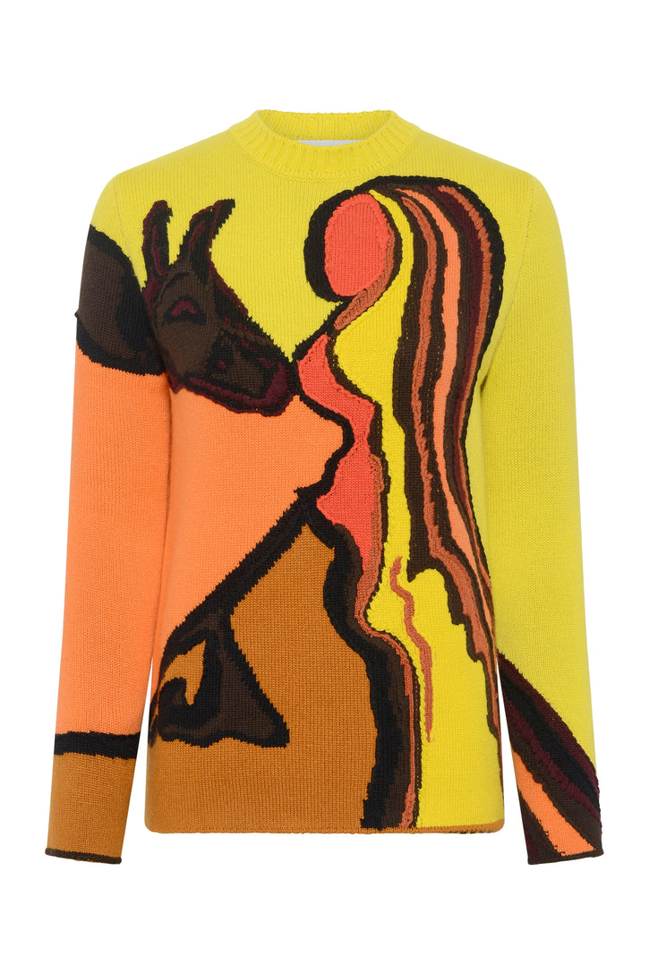 Daneth Knit Sweater in Earth Multi Cashmere